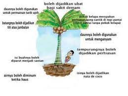 Hingga hari ini, setidaknya 1082 orang rimba telah menerima bahan makanan pokok yang secara rutin. Kelapa Dan 1001 Kegunaannya