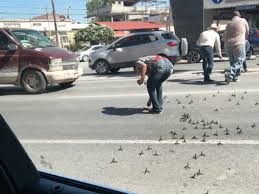 Precio de la gasolina en reynosa, tamaulipas. Reportan Narcobloqueos En Reynosa Tamaulipas Jose Cardenas