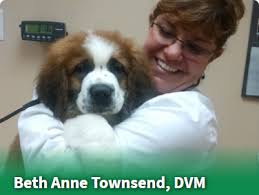 Holton Road Veterinary Clinic