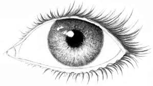 Unsere augen sorgen dafür, dass wir unsere umwelt visuell wahrnehmen können. Augen Realistisch Zeichnen Tutorial Dekoking Diy Mehr