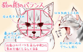 イラストや漫画に使える 上手な犬 猫の描き方 イラスト マンガ描き方ナビ 猫 描き方 動物のスケッチ 猫 骨格
