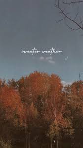 4.5 out of 5 stars. Sweater Weather Autumn Aesthetic Fall Pictures Background Pictures