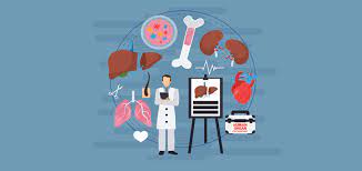 Experts say that the organs from one donor can save or help as many as 50 people. Know The Facts Organ Donation Crystal Run Healthcare