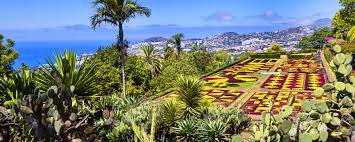 Botanischer garten der botanische garten ist einer der meist besuchten touristischen attraktionen von madeira und befindet sich nur drei kilometer von der innenstadt von funchal entfernt auf einem. Madeira Botanical Garden Funchal Ocean Retreat