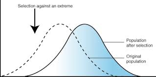 Sparknotes Natural Selection Types Of Natural Selection