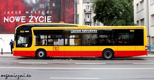 Szkoła autobus, malarstwo, ilustracja, illustrative, technika, tylny prospekt, widok budynku. 5xo Podrozowanie Lokalne Wyjatkowy Wywiad Z Kierowczynia I Kierowca Autobusu Organiczni Eu