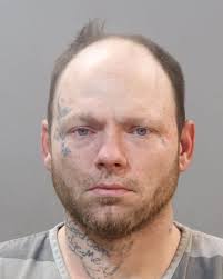 PIPER, HALEY LEANNE Charges: DOMESTIC ASSAULT AND POSSESS WITH INTENT TO  SELL OR DELIVER COCAINE (REV OF PROB) This information and more is  available at https://sheriff.knoxcountytn.gov