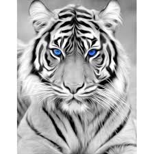 Nacido en una villa en el corazón de la india, trabaja en una tienda de té. Pintura De Diamante Redondo 5d Diy Tigre Blanco Y Negro Con Ojos Azules Punto De Cruz Bordado De Diamantes Mosaico Para Decoracion Del Hogar Pintura De Punto De Cruz De Diamantes Aliexpress