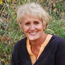 Shari Lee Hill Vander Heide Obituary (1949