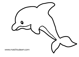 Ma Tchou Team Fiches D Activite Autour De La Mer En 2020 Coloriage Dauphin Dauphin Dessin Coloriage