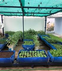 When planned and executed properly, roof garden can prove to be a real asset. Terrace Gardening Rooftop Gardening Information Agri Farming