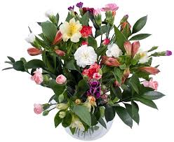 Make their birthday as exceptional as they are. Fresh Flowers Delivered Free Delivery Special Offer Joyfulness Bouquet Is A Fabulous Gift For All Occasions Birthday Christmas Thank You Get Well Congratulations Amazon Co Uk Garden Outdoors