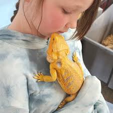 21st Century Community Learning Centers provide enrichment activities to  students during non-school hours. For example, at one of Kellogg School  District's PASS 21stCCLC Program Family Engagement events students met some  snuggly creatures.