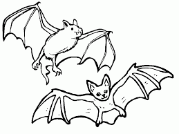 Add the details to the face and finish the bats lower body. Bat Drawings For Kids Coloring Home