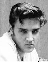 Elvis looks like he's trying to explain something to a toddler...I guess  I'm not getting it!