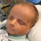 Liam Foster Obituary (2025)