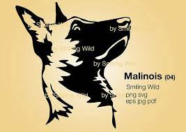 Malinois Svg Clipart Printable Dog Head Belgian Malinois Etsy In 2021 Malinois Belgian Malinois Dog Vector