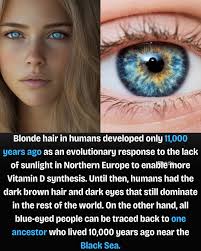 Blue-eyed humans share a common ancestor
