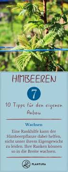 We did not find results for: 56 Neulich Im Garten Ideen In 2021 Garten Pflanzen Bepflanzung