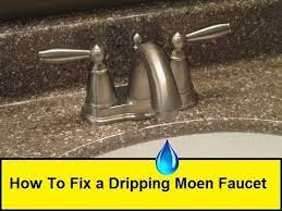 The moen 114299 is an upgrade over the original faucet hose kit. How To Fix A Dripping Moen Faucet Howtolou Com Youtube