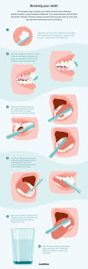 How To Brush Your Teeth With A Standard Or Electric Toothbrush In 2020 Brushing Teeth Teeth Care Dental Health