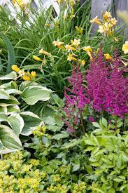 Hosta And Purple Astilbe With Yellow Daylilies Best Perennials Shade Perennials Best Perennials For Shade