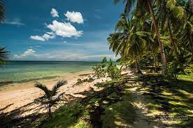 Eastern Mindanao Siargao And Bucas Grande Sohoton Lagoons Awao And Aliwagwag Falls Ambot Ah Quiet Beach Siargao Mindanao