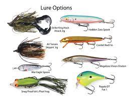 To best gauge the effectiveness of this approach to fishing simply watch an episode of reel wars where steve has elected to go for the tent and find his bait on. Best Bait For Dock Fishing Off 69 Felasa Eu