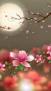 Pin By Mahtab Behrad On Wallpapers Flower Background Iphone Flower Wallpaper Flower Phone Wallpaper