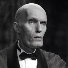 Happy Birthday wishes to Berenice Marlohe