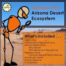 See more ideas about food, dessert recipes, desserts. Food Deserts Worksheets Teaching Resources Teachers Pay Teachers