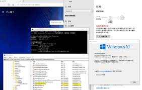 Ive tried all of the obvious solutions (pinging, clearing old internet file cookies etc.) i have this problem in multiple places with my laptop, at work, at home. Still Not Fix No Internet Connection Bug In Windows 10 2004 Os Build 19041 546 Microsoft Q A