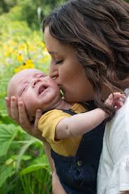 Petals & Pines Farmstead