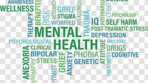 What is the difference between mental health & emotional health? Mental Health Awareness Month Disorder Emotional Well Being First Aid Psychological Transparent Png