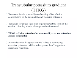 Image result for Transtubular Potassium Gradient