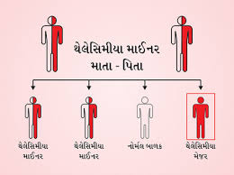 About Thalassaemia