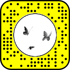 Sky Butterflies Snapchat Lens Filter Butterflies Filter Lenses Skybutterflies Snapchat Snapchat Filters Filters Snap Filters