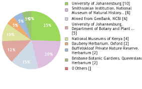 Image result for Turraea mombassana