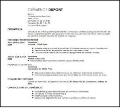Exemple De Cv Vendeuse Pret A Porter Exemples Modeles De Cv