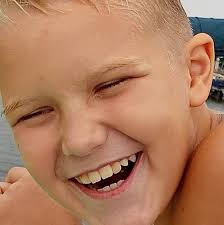 What is happening at Harvest Fest today?