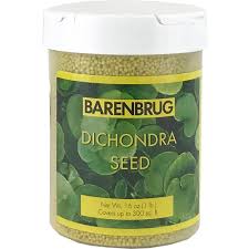 Barenbrug 1 Lb Dichondra Grass Seed 37301 The Home Depot Grass Seed Fescue Grass Seed Seeds