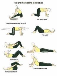 We did not find results for: 13 Easy Ways To Increase Height Fast At Home For Girls And Boys Increase Height Exercise Increase Height How To Grow Taller