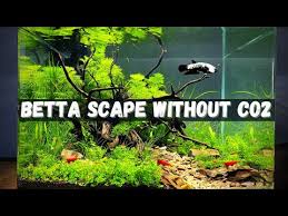 Video update (kedua) dapat disimak di sini:. Video Aquascape