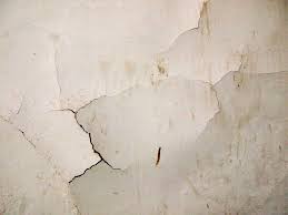 Dinding rumah lembab memang bikin kesal, tapi tenang ada banyak cara mengatasi tembok lembab dan cat mengelupas. 3 Tips Mudah Mengatasi Dinding Terkelupas