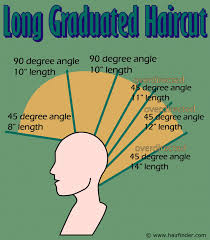 Always start with the front and then blend in the back. How To Cut A Long Graduated Haircut Step By Step Illustrated Instructions