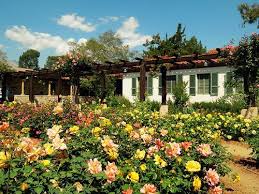 Pin On El Jardin