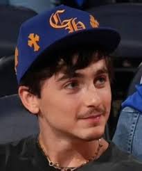 Bringing Kylie Jenner to Knicks games might be Timothée Chalamet's best  move yet for the Knicks. 👀