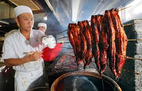 כתובת מקומית 21 quai marcel boissard, 44400. L Anguille Du Japon Objet De Toutes Les Convoitises