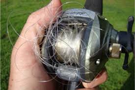 We did not find results for: 8 Things You Can Do To Prevent A Fishing Line Birds Nest Bass Pro Shops