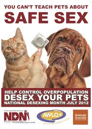 This Is How To Save Lives Animals Australia Unleashed Check Out All The Benefits That Desexing Provides For Dogs And Cats 1 Le Pets Animals Your Pet
